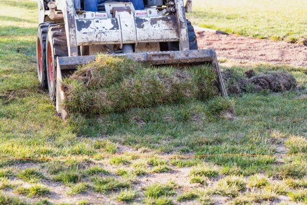 Cost of Landscape Leveling in Boulder
