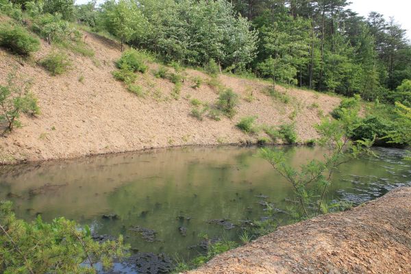 Cost of Pond Erosion Repair in Boulder