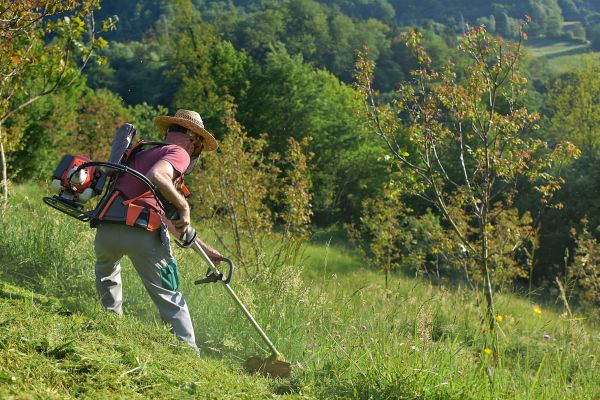 Cost of Slope Trimming in Boulder
