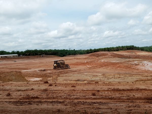 Cost of Land Preparation Service in Boulder